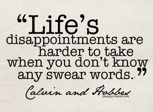 Calvin and Hobbes quote