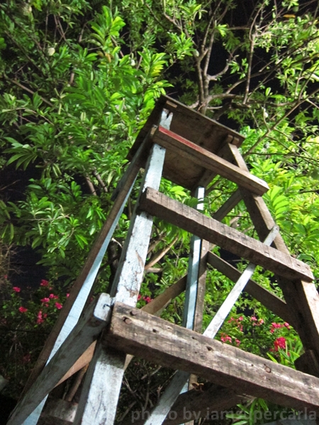 Day 6: From a high angle