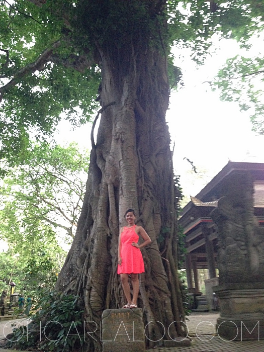 Aidel had to emphasize her OOTD.  She came prepared.