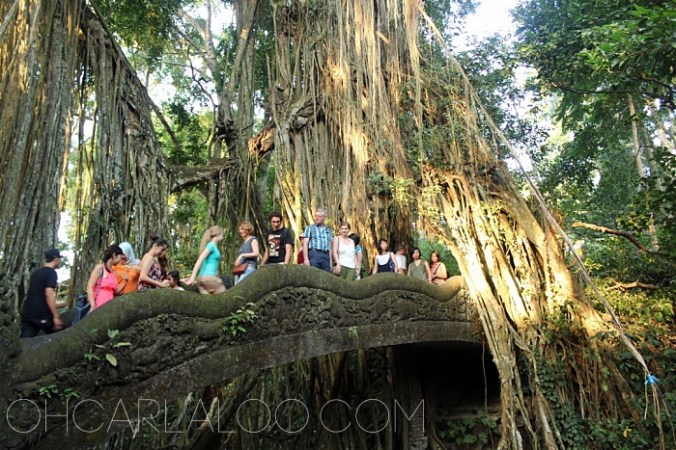 We're the obvious guests here.